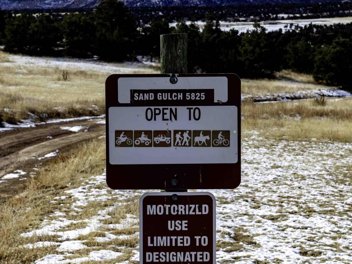 Sand Gulch to The Banks trail photo