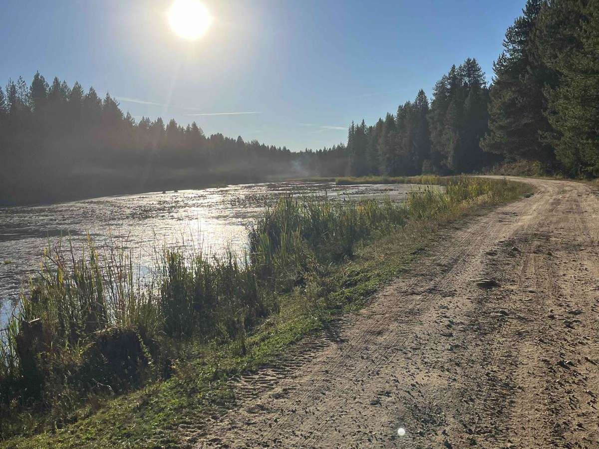 Moose Creek Campground Cutoff photo 4