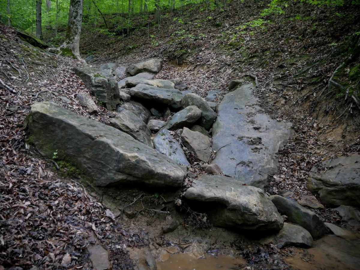 IB 88 trail photo