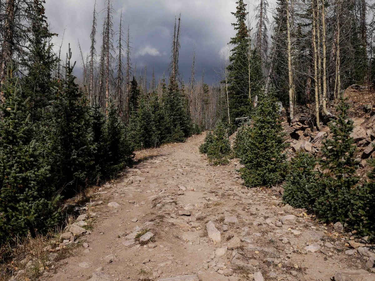Middle Alder ATV - 797 photo 5