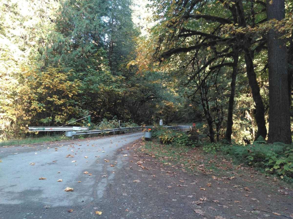 Soda Fork Mainline - FS 2043 trail photo