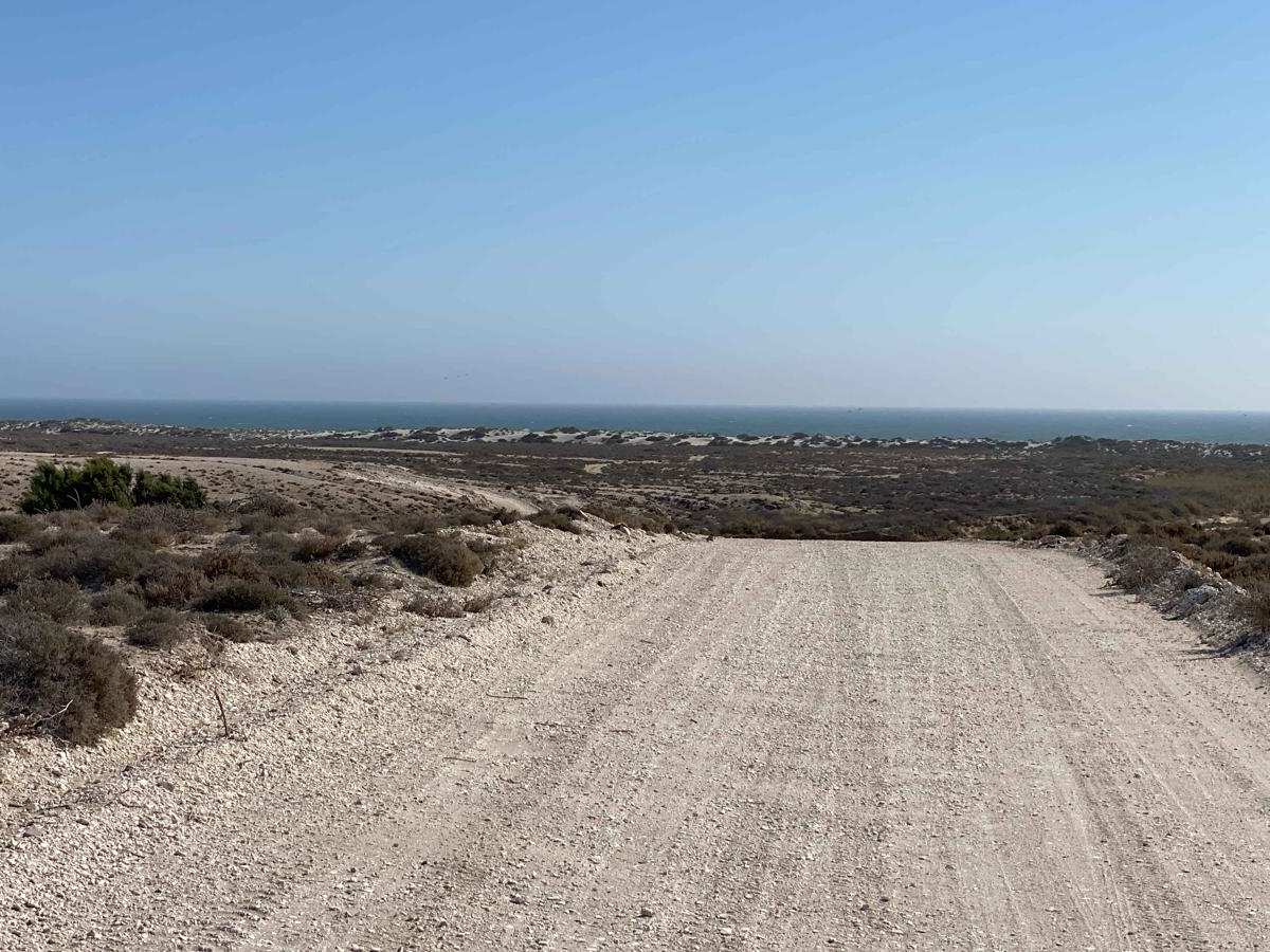 Coastal Route Punta Prieta to Estero de La Bocana photo 4
