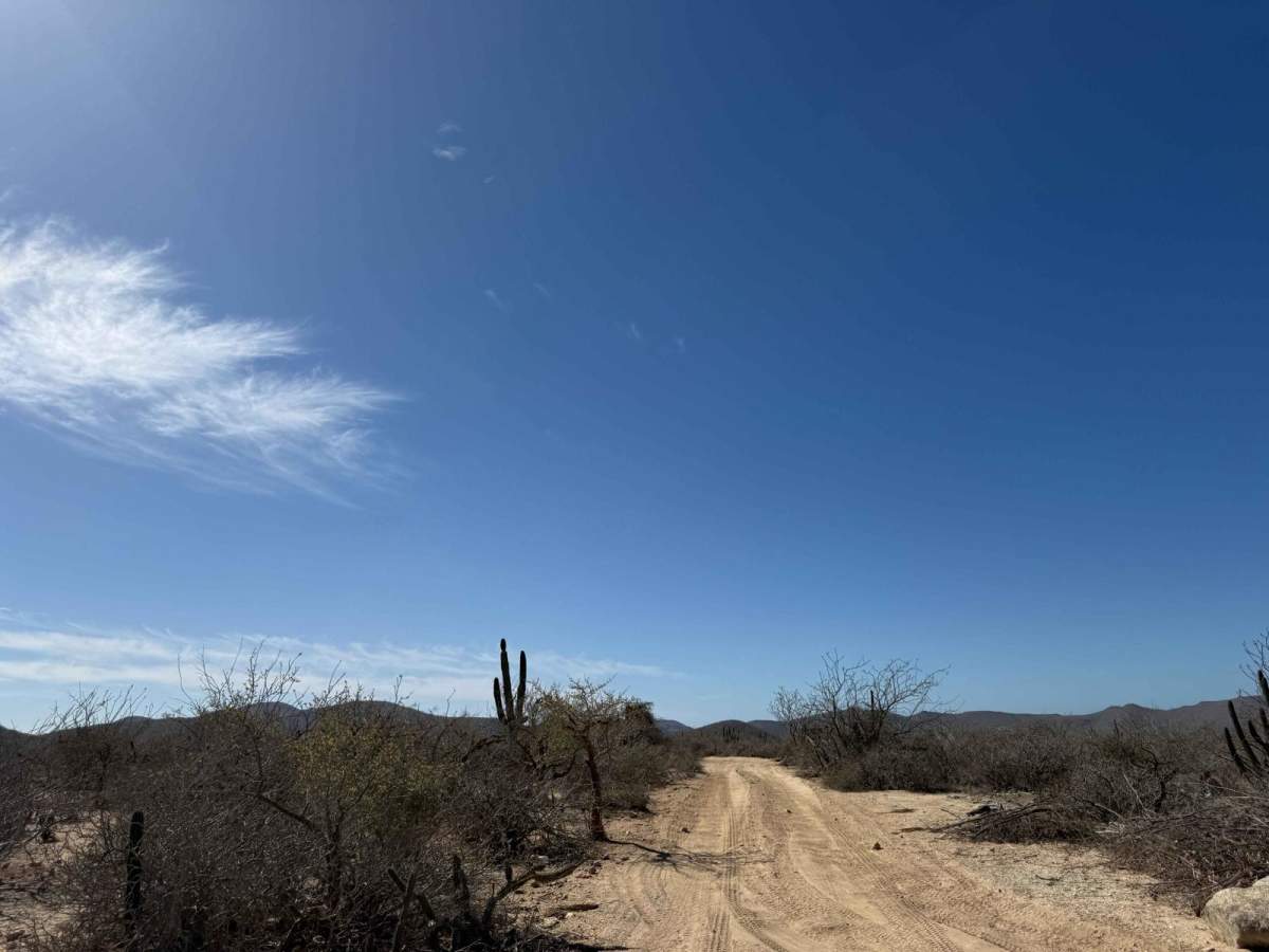 Arroyo Roca Arena trail photo
