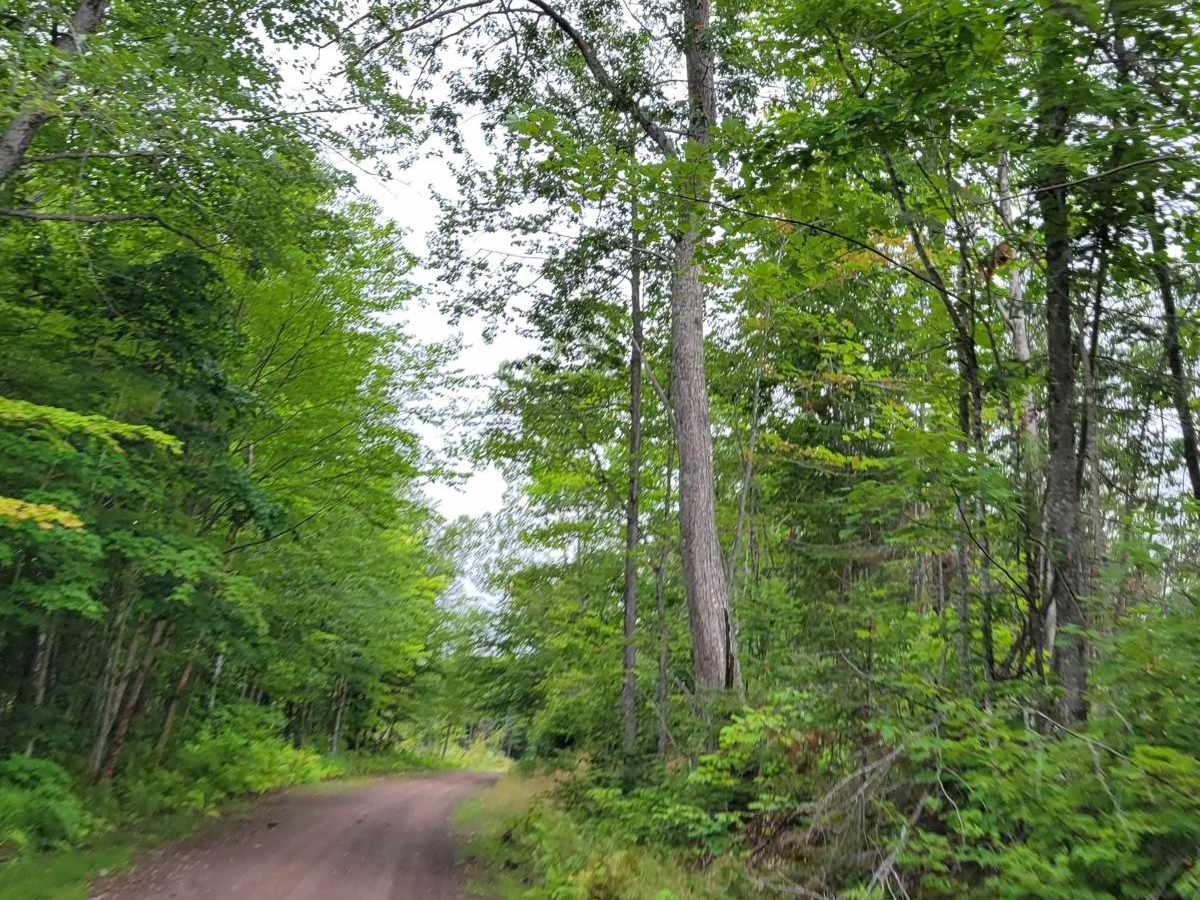 Keweenaw State Trail Segment 2 photo 2