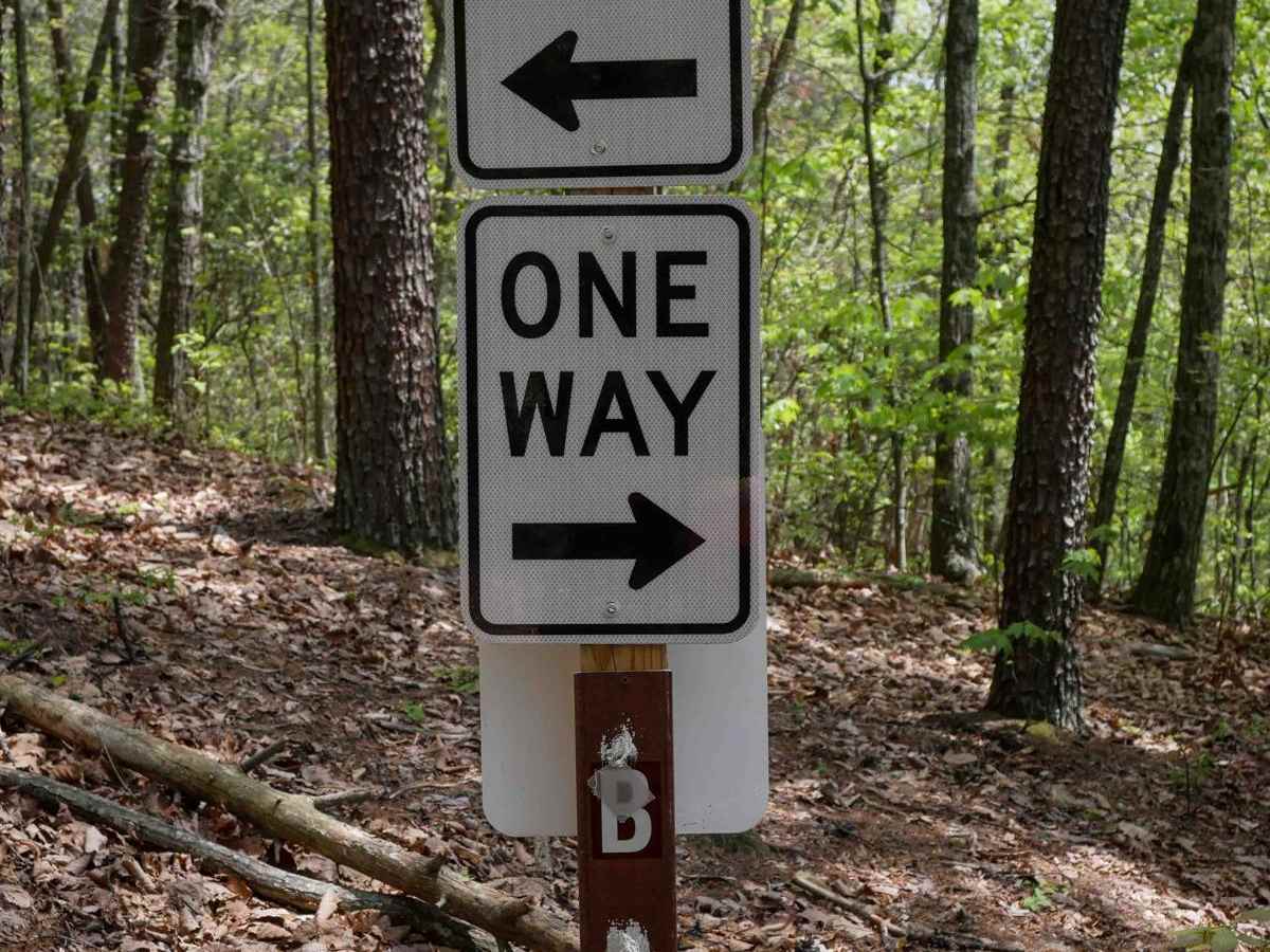 Copperhead Trail B photo 5