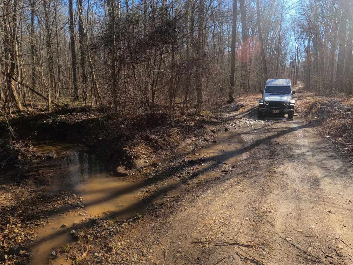 Fulton Furnace Road - FS 315 photo 5