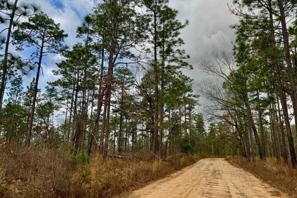 Burned Out Bridge Road