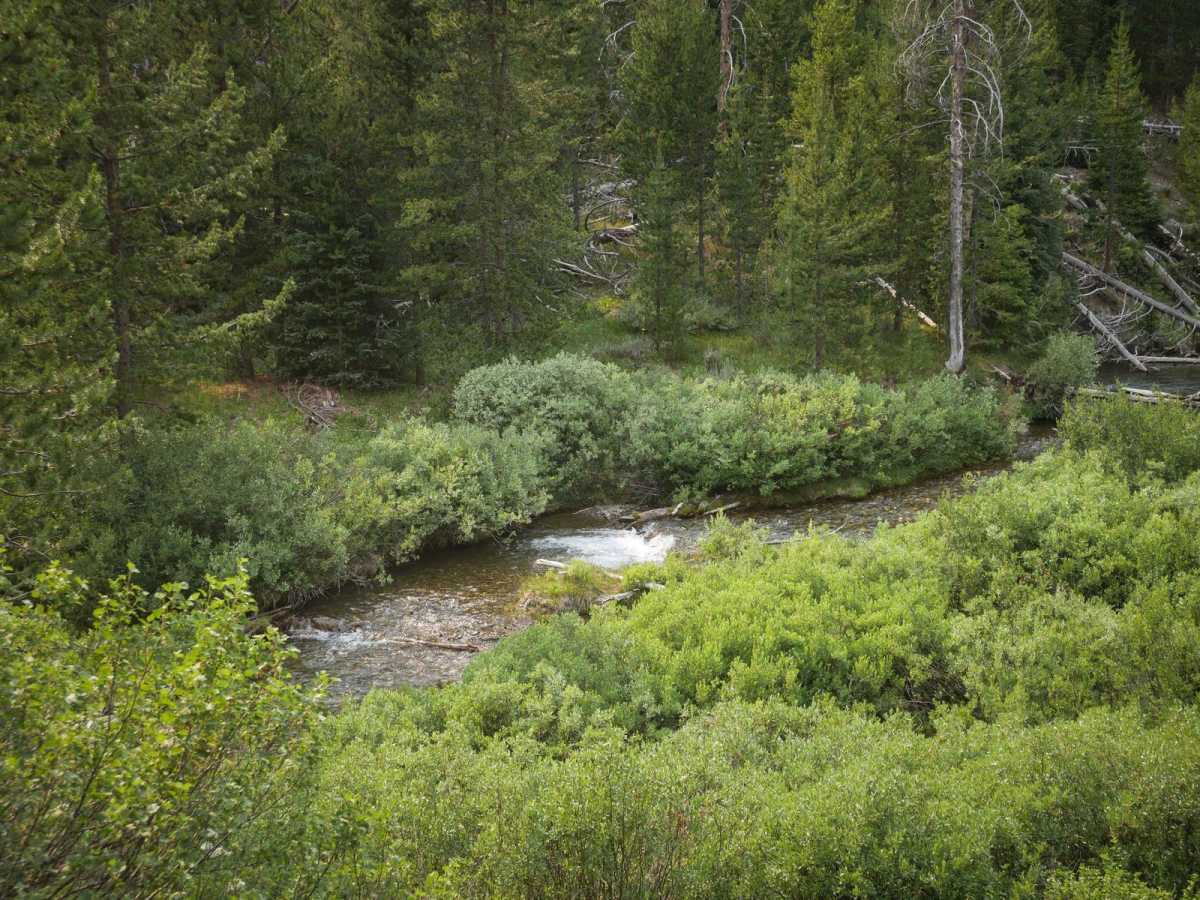 Corrals ATV Trail photo 5
