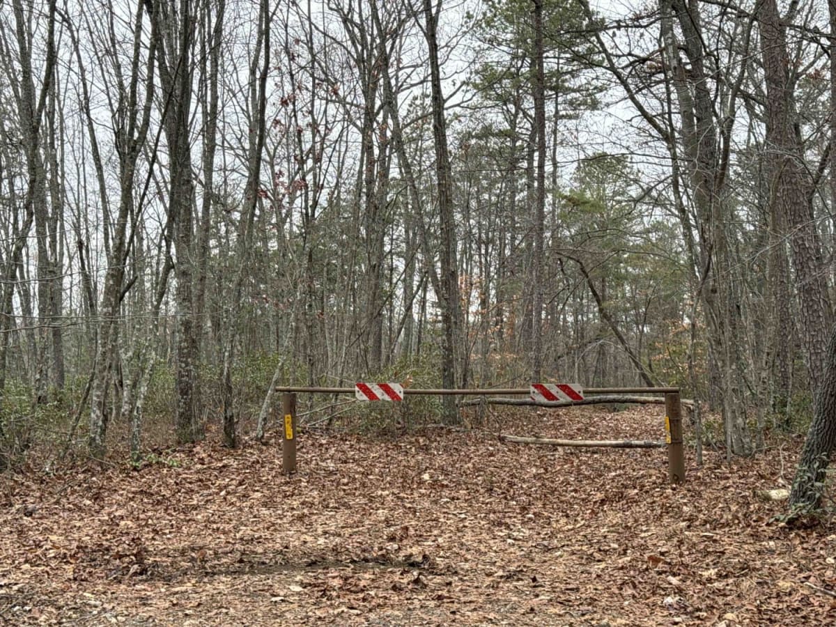 Bear Gap Road (FSR 431) photo 6