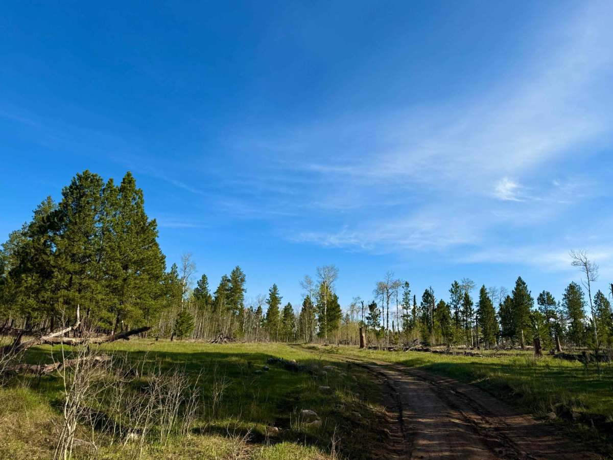 Slate Creek Rim Trail photo 6