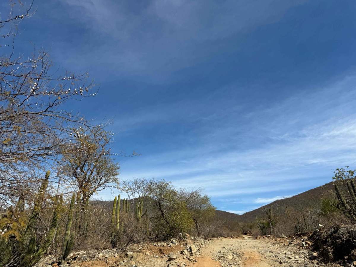 El Rosario Cutoff trail photo