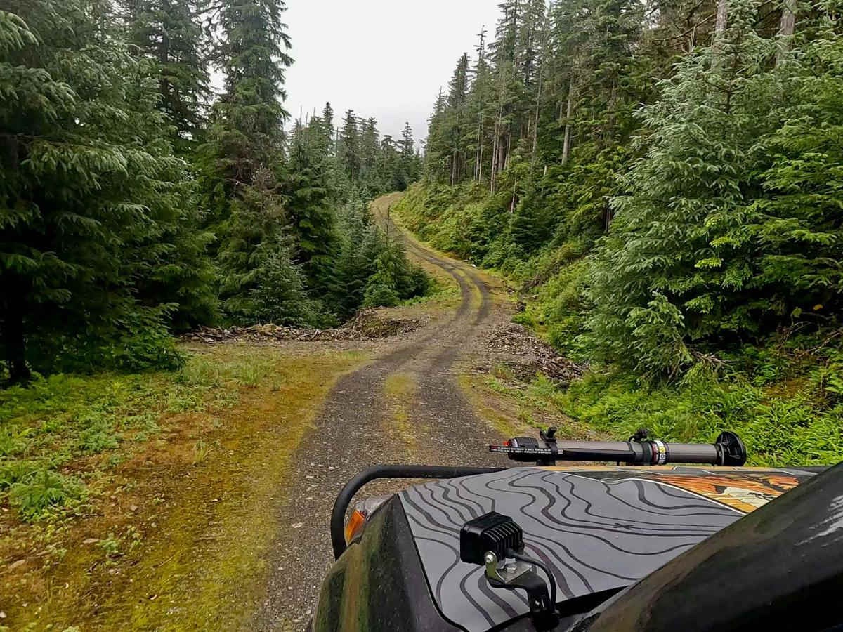 Old Hermit - 50051 trail photo