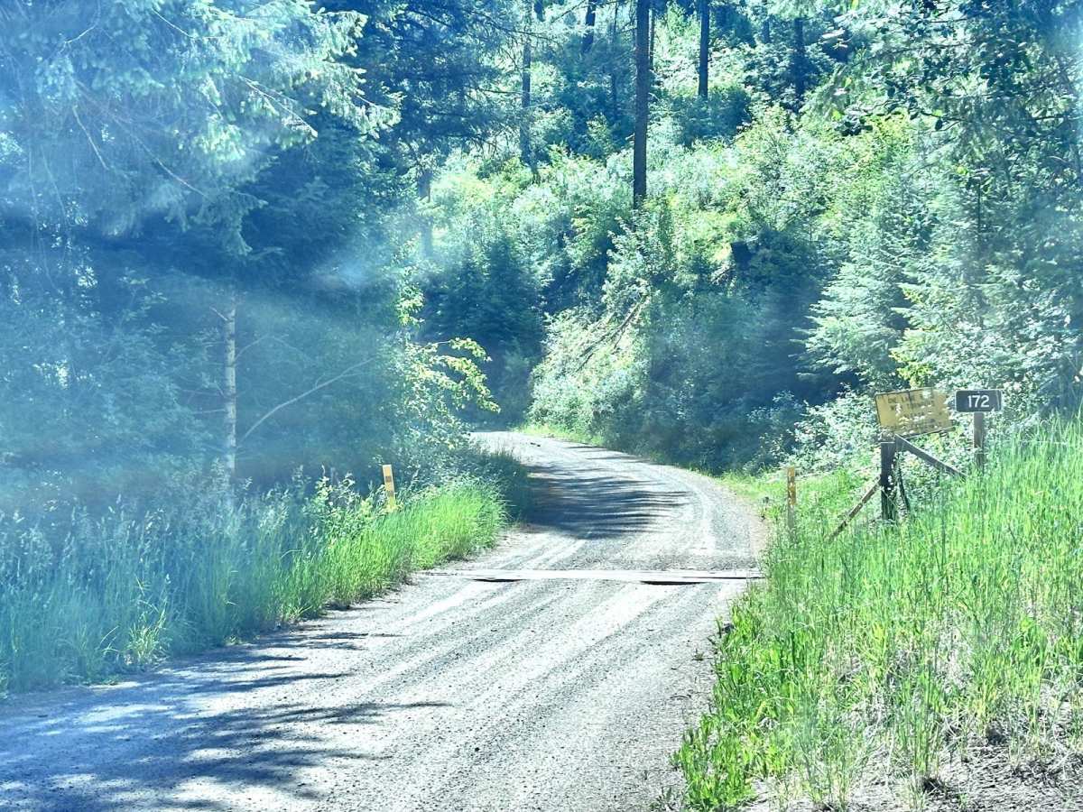 East Fork Weiser photo 2
