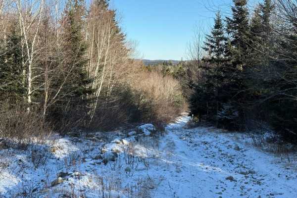 Dynamite Trail