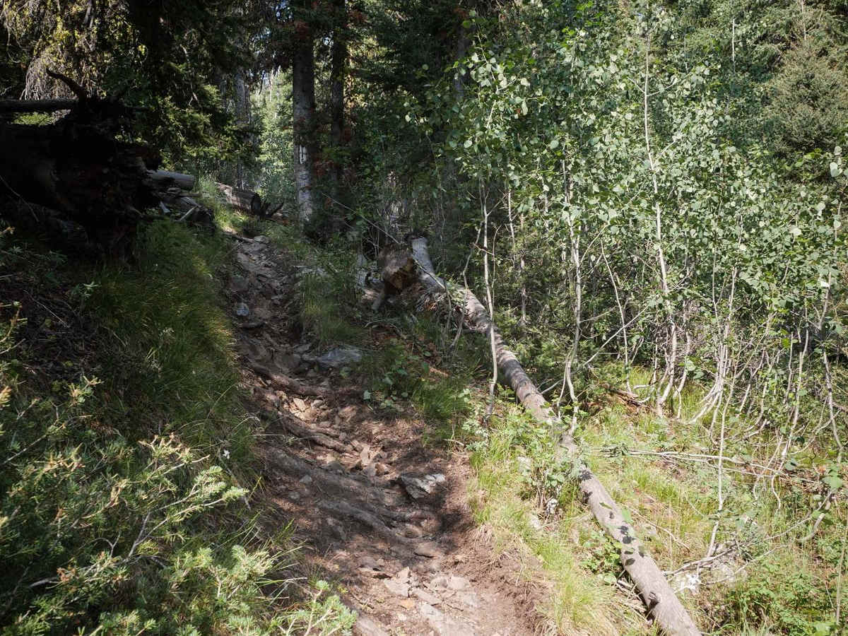 Silver Creek photo 3