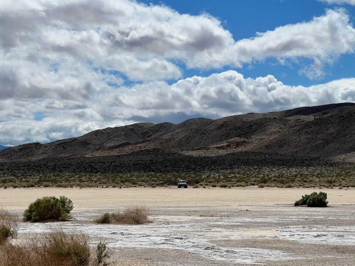 Clark Dry Lake trail photo