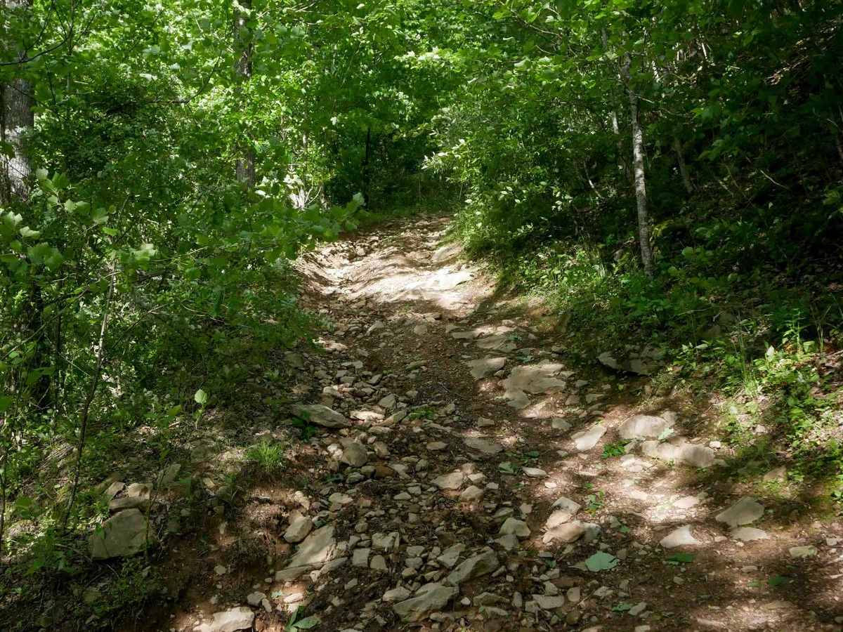 RV28 trail photo
