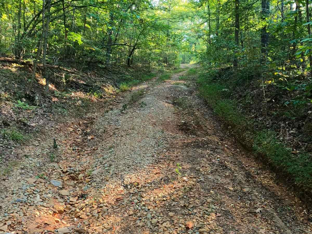 Green Branch Road - FS 409 photo 5