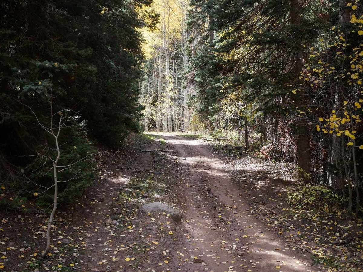 Stealey Mountain ATV photo 6