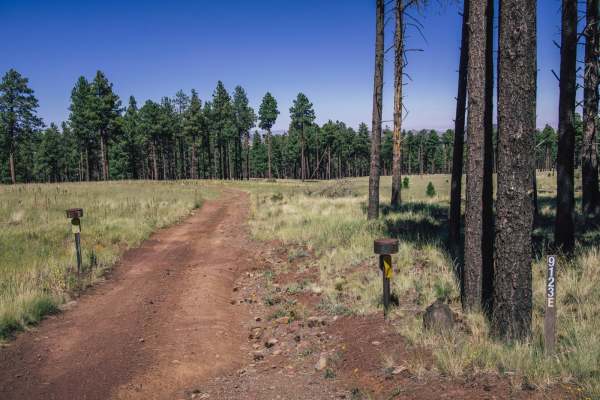 High Grass Crossing