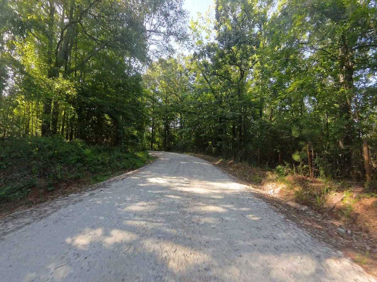 Bear Creek Road photo 5