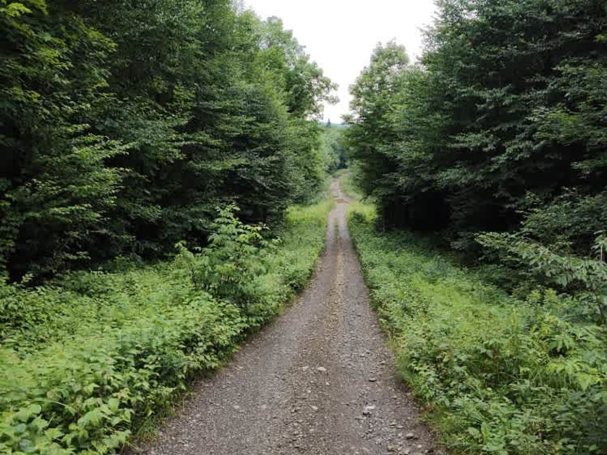 White Wolf Trail trail photo