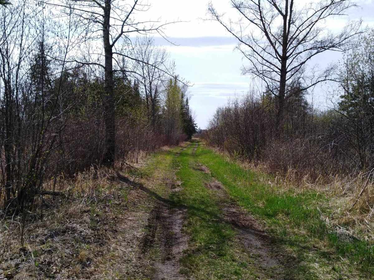 Ketchum Road Northwest to Cass Lake photo 5