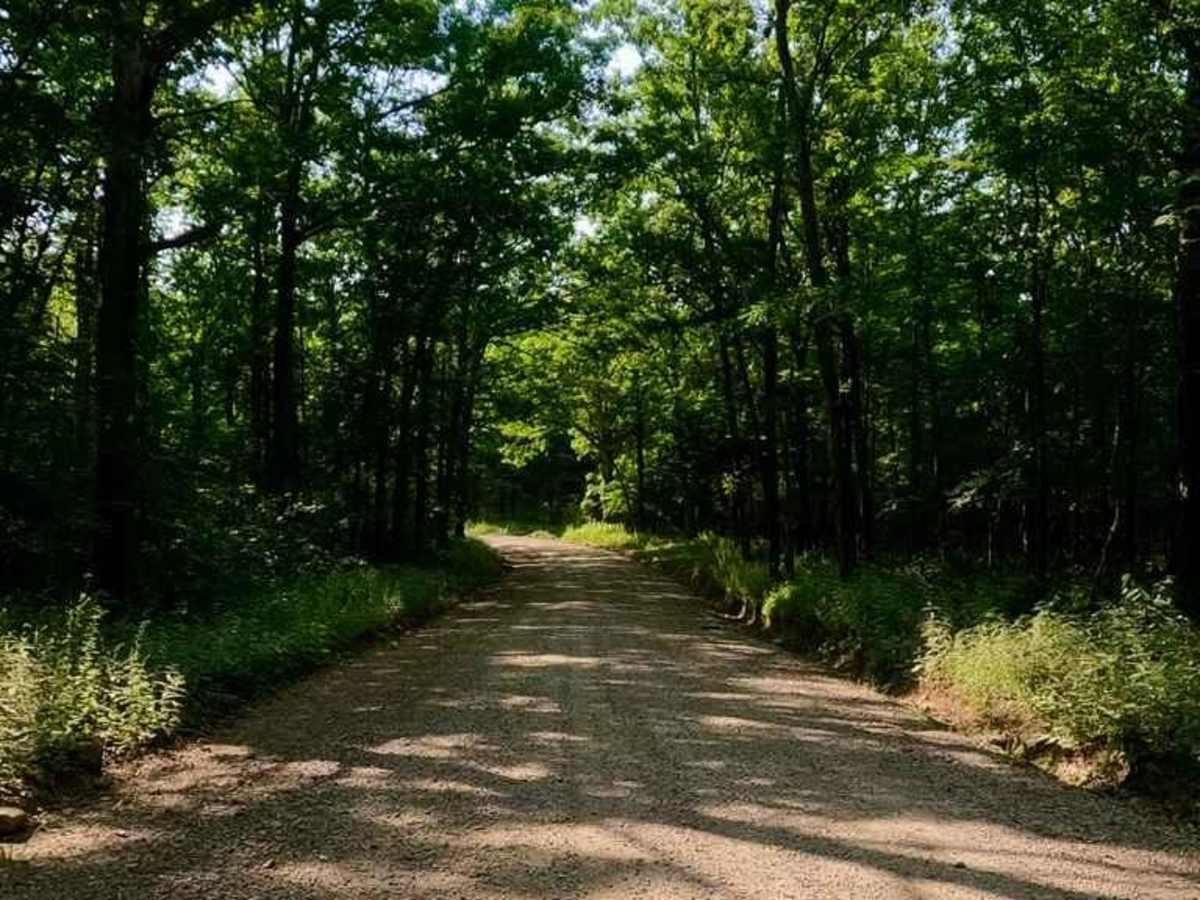 Mad-Co Road 406 photo 4