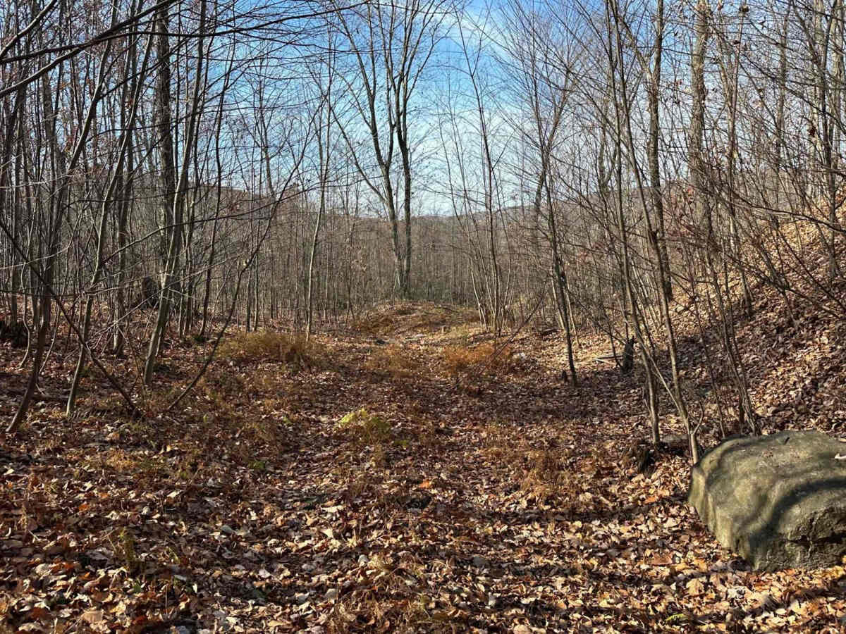 Ashland 154 trail photo