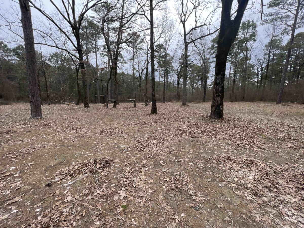 Long Hollow Road 146 photo 4
