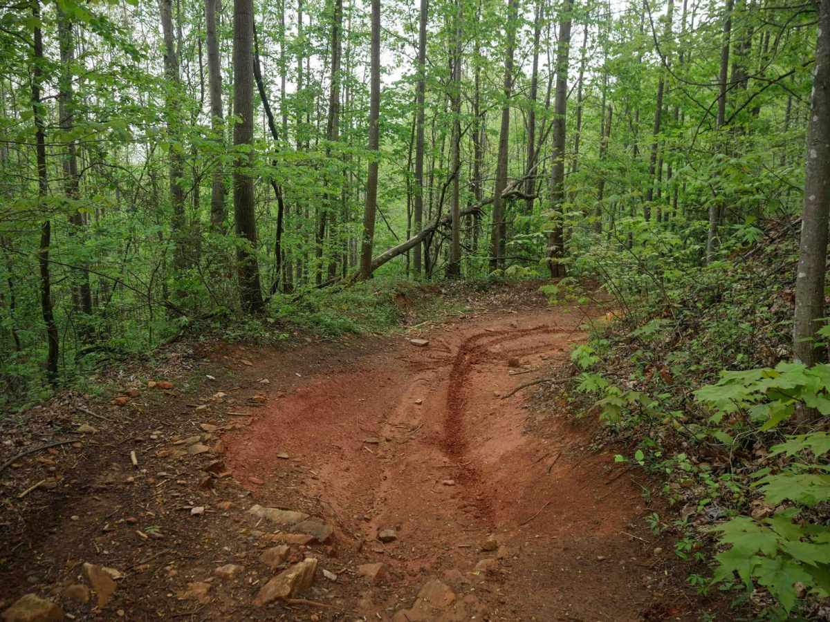 1B Shortcut photo 3