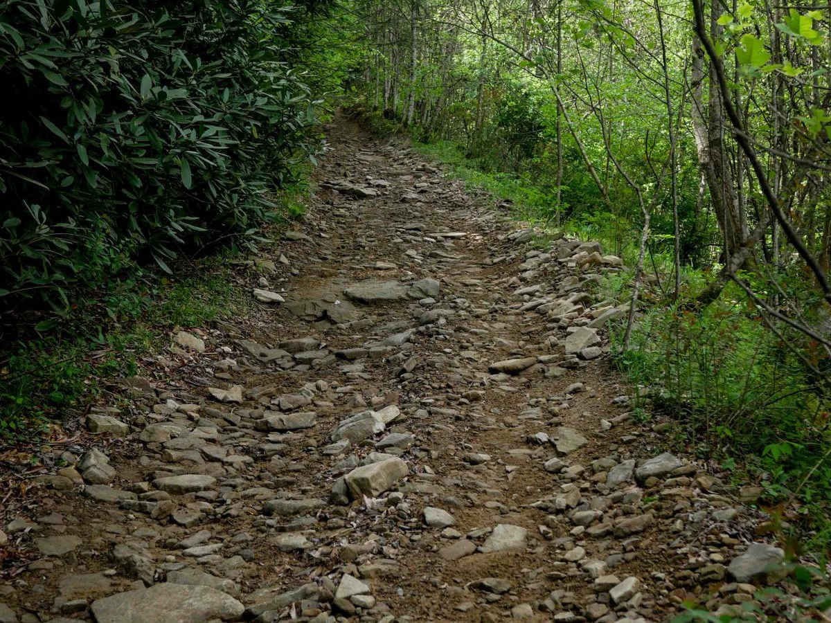 PC 83 trail photo