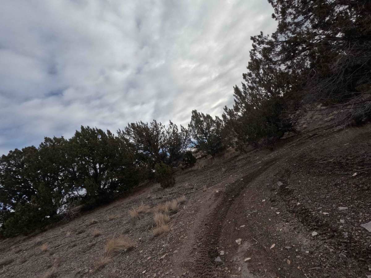 507 trail photo