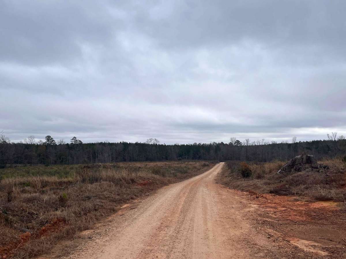 Round Up Road photo 2