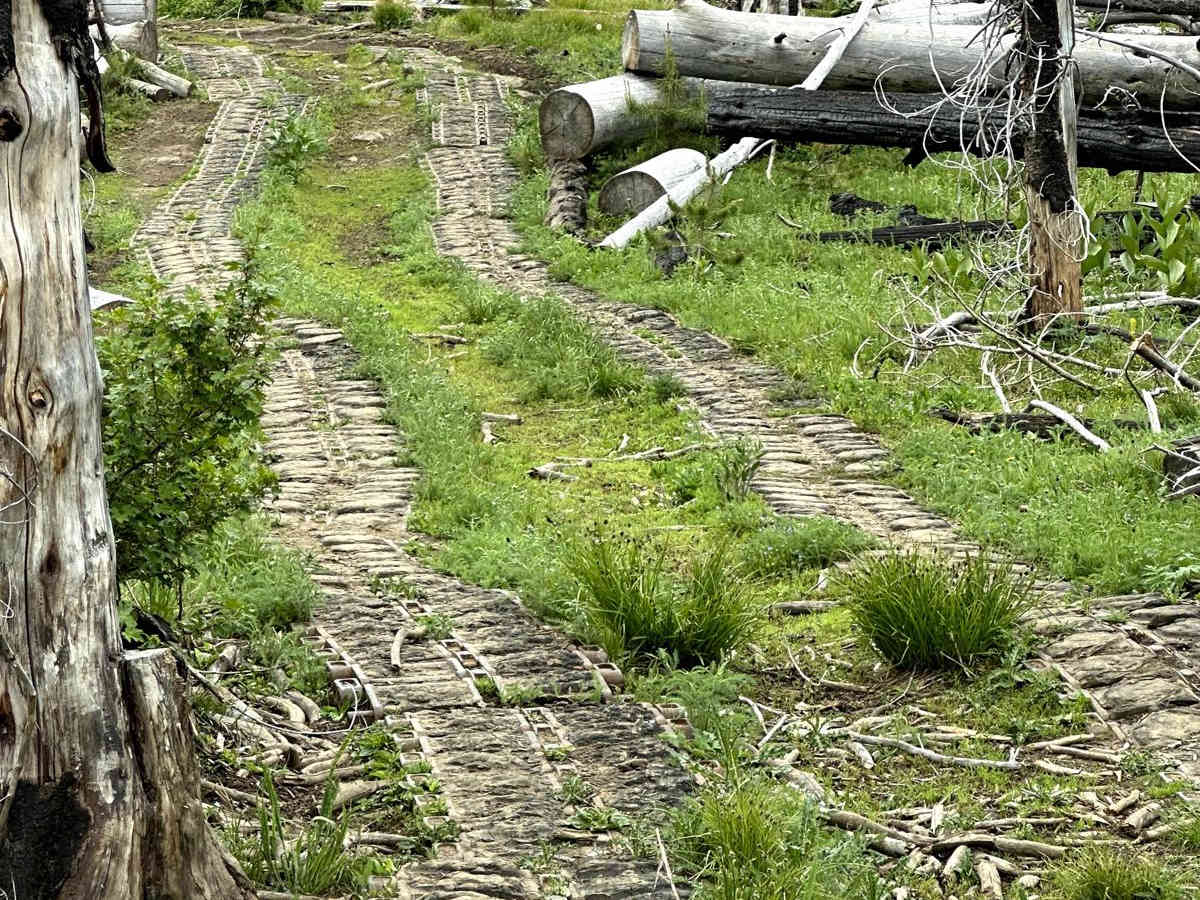 Shoestring Trail photo 3
