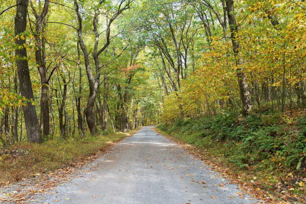 Laurel Run Road