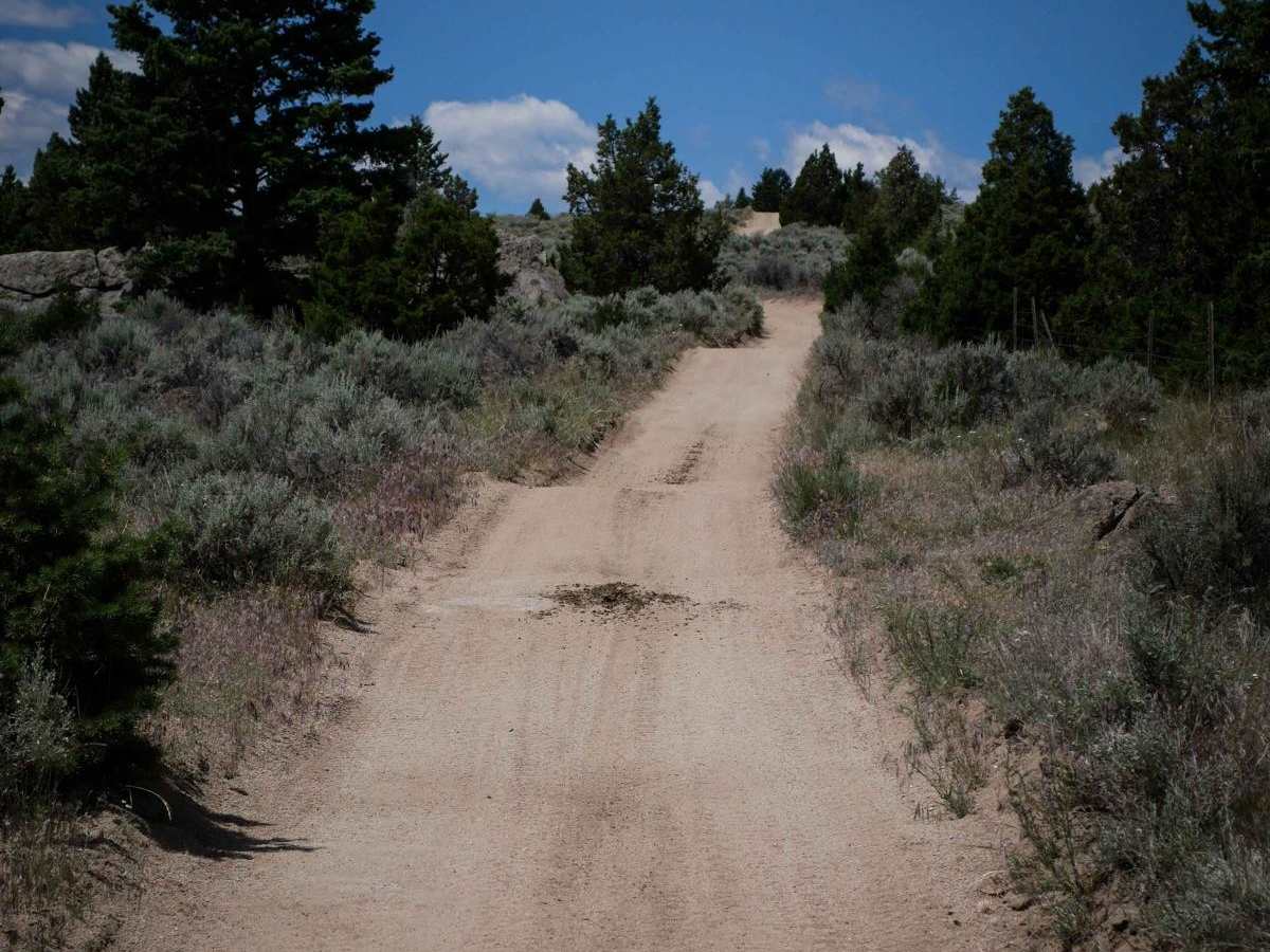 WP185 trail photo