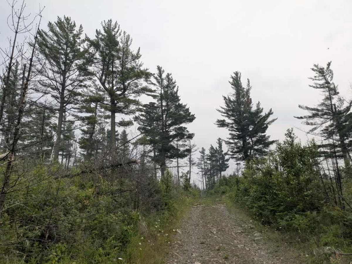 Stony Lookout photo 4