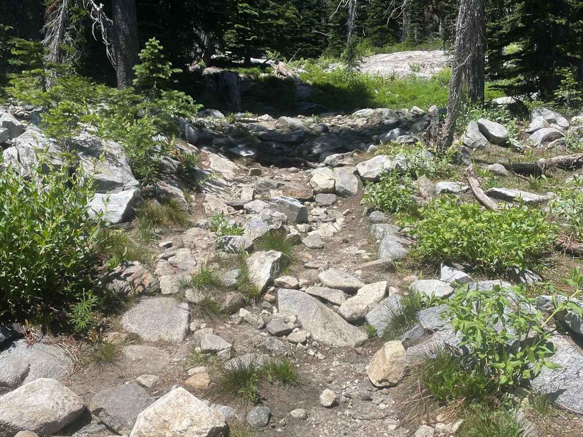 Grass Mountain Singletrack photo 6