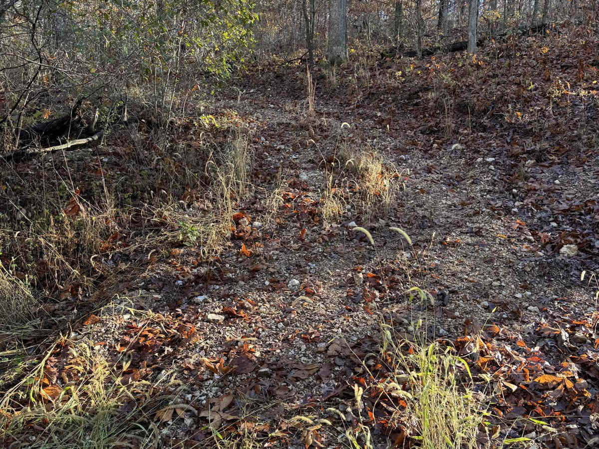 Green 120 trail photo