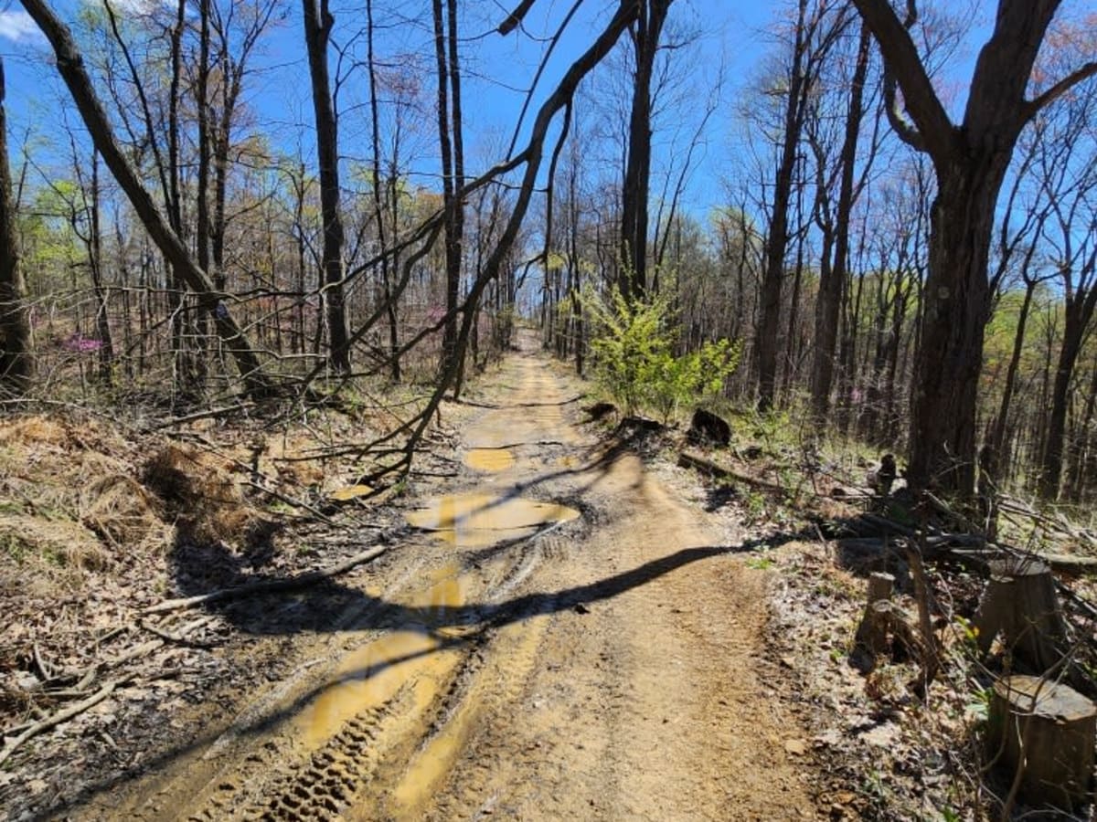 Sunshine Ridge Road photo 5