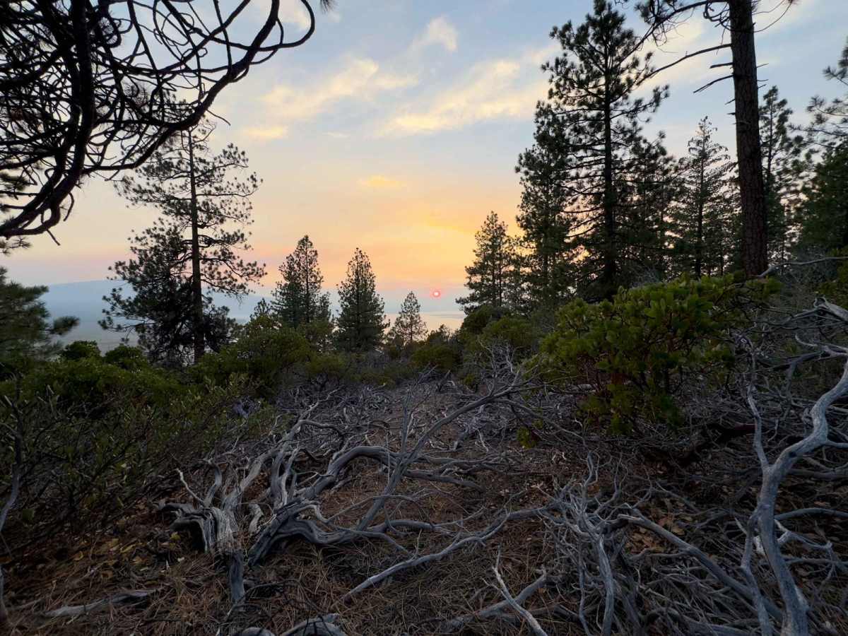 Wickiup Butte Trail photo 5