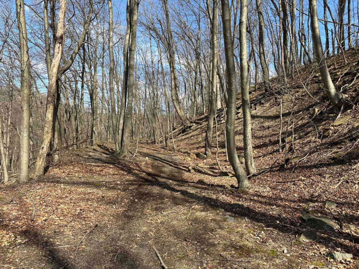 Ashland 107 photo 5