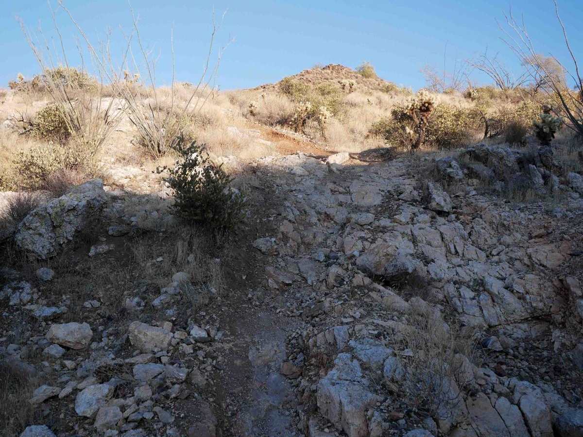 North Castle Singletrack trail photo