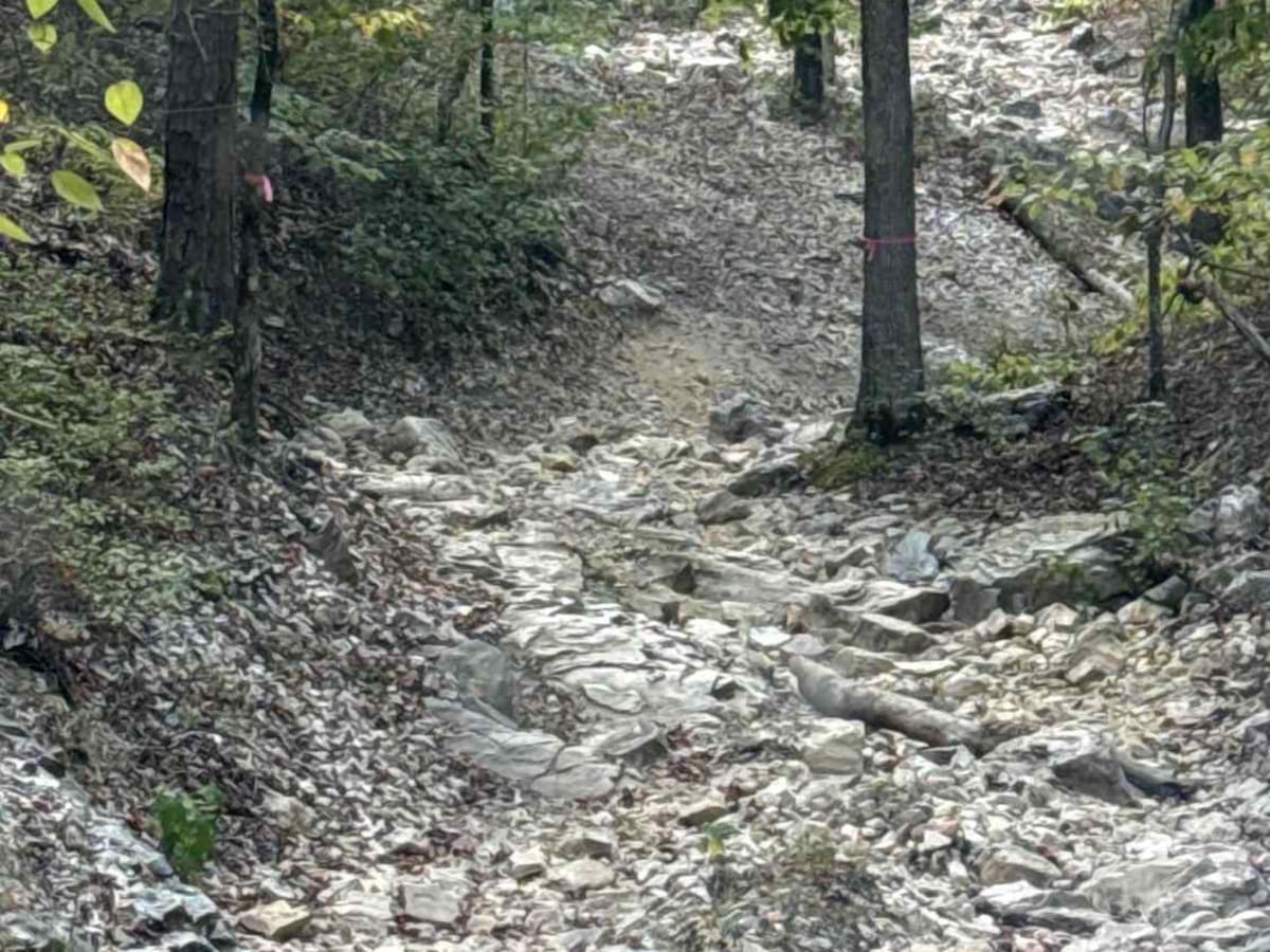 Ravine trail photo