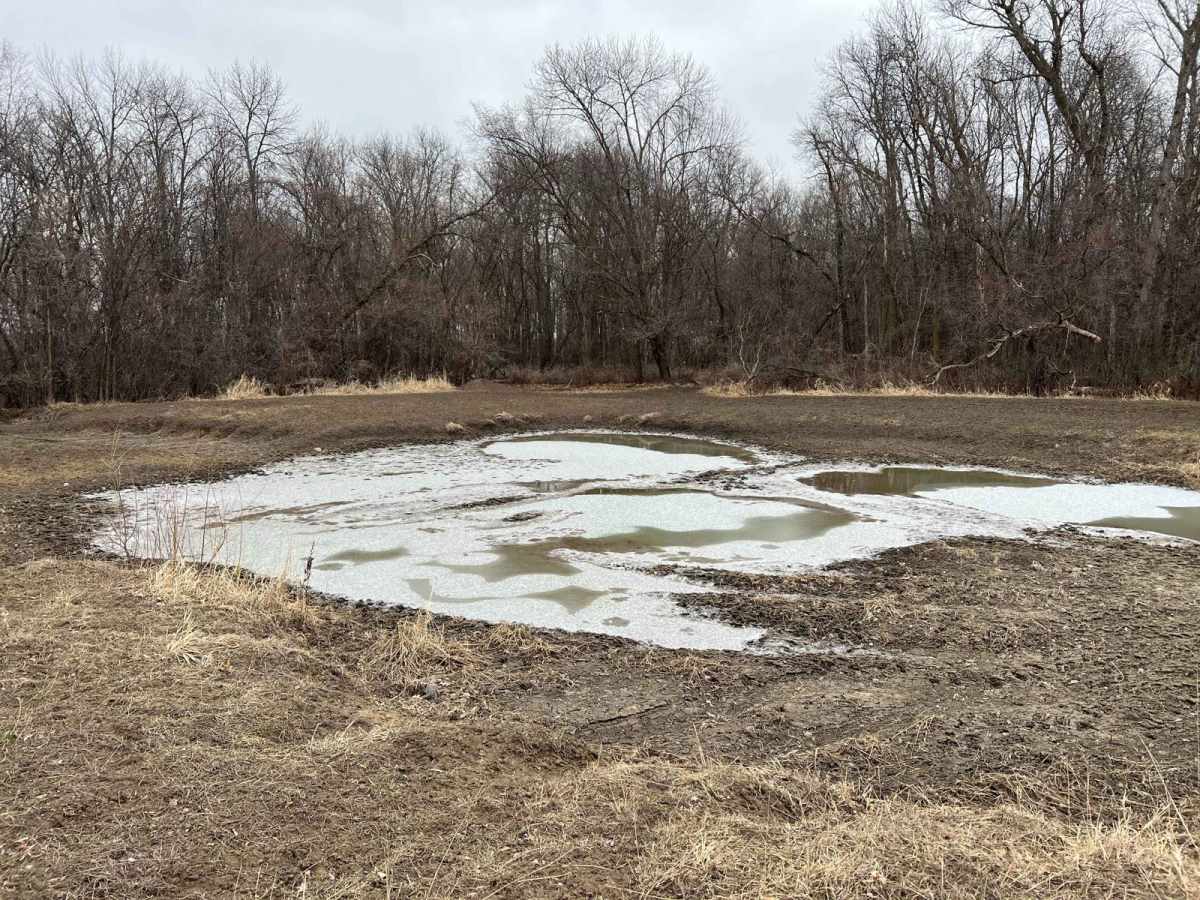 Meeker County OHV Park Outer Loop photo 2