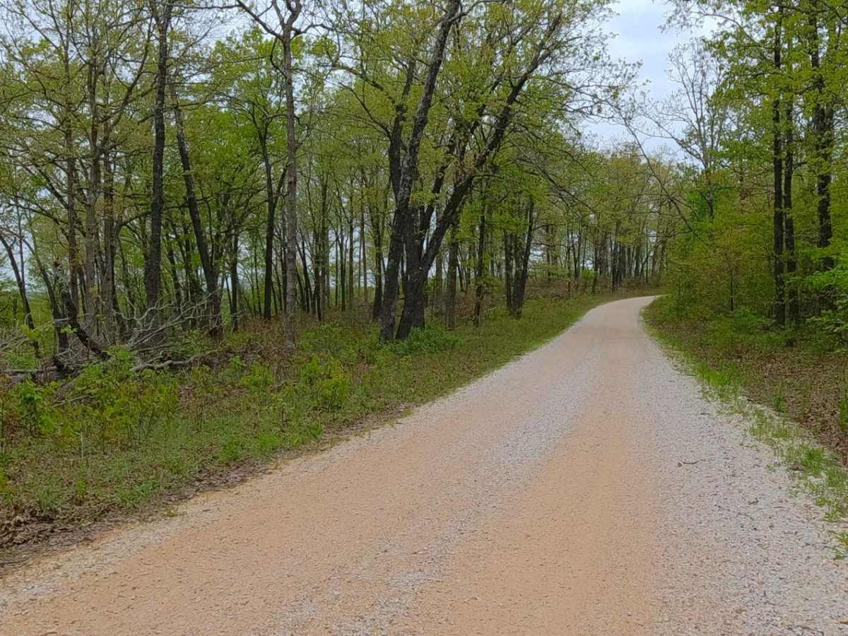 Crooked Tower Road photo 4