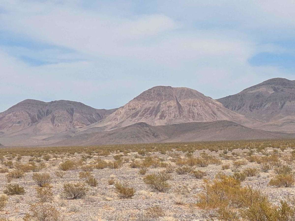 BLM 927692 photo 4