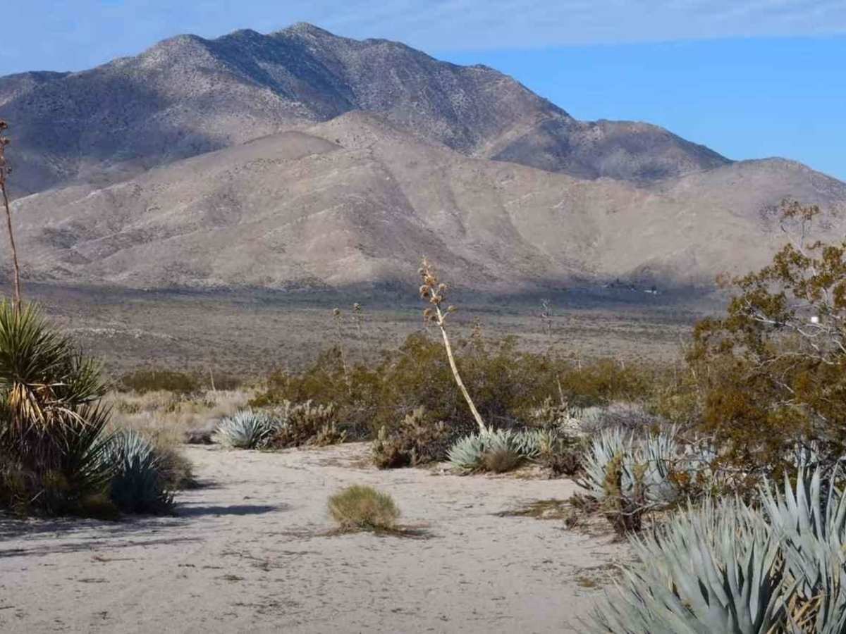 Pinyon Mountain Road photo 5