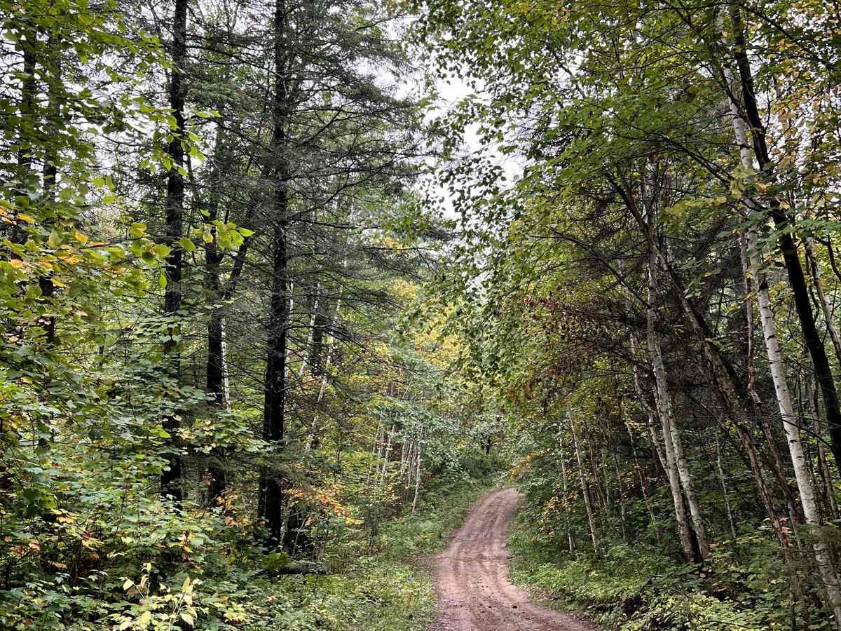 Thompson Minimum Maintenance Forest Road trail photo
